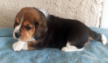 Martina Girl 3 Side 4 weeks